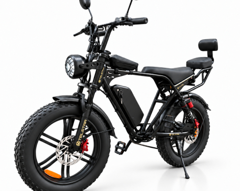 Електрически велосипед E-BIKE FATBIKE EVOLUTION TELSTAR 2026