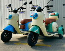 Електрическа триколка PUDDING LUX 1500W задно предаване с диференциал снимка 238