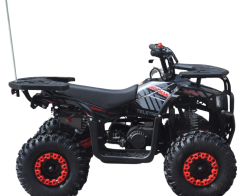 Детско бензиново ATV 49сс TELSTAR SIRIUS с електрически стартер снимка 274