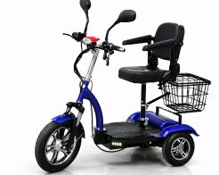 Електрическа триколка TS-751 OLD 48V 750W със задно предаване снимка 35